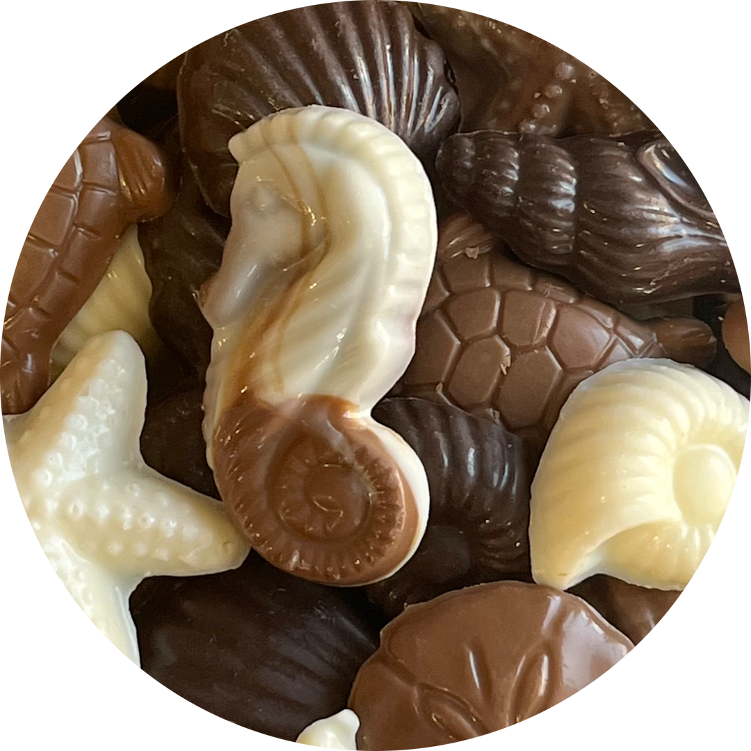 Assorted Seashells & Animals