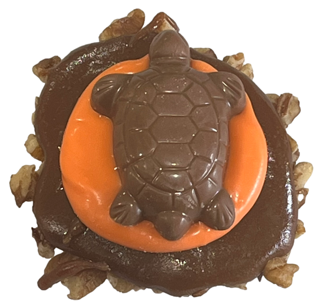 Halloween Beached Turtles