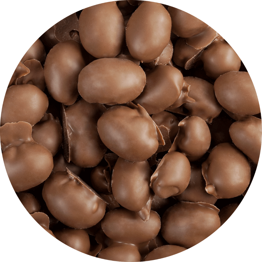 Chocolate Coated Peanuts