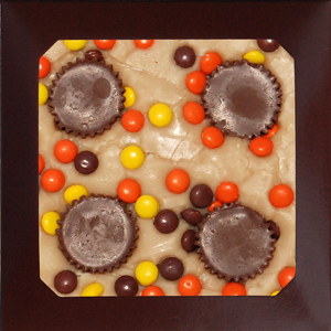 Homemade Peanut Butter Lover's Fudge